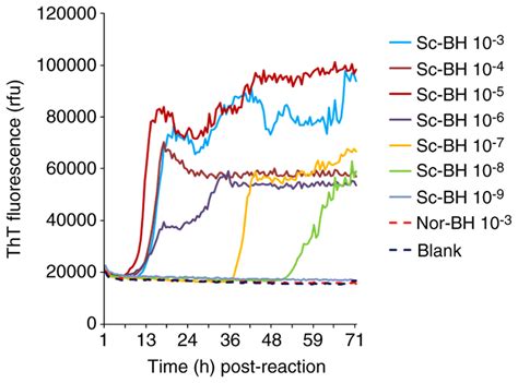 Sensitivity Of The Real Time Quaking Induced Conversion Assay For