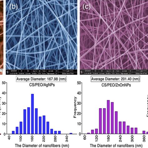 Morphological Characterization Of The Prepared Electrospun Mats By