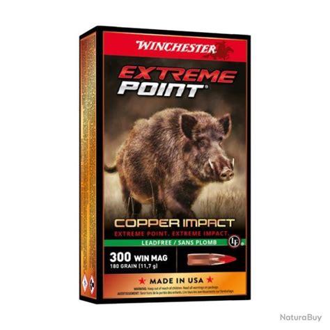 Balles Winchester Extreme Point Lead Free Cal 300 WM Par 20 180