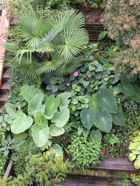 Garden Rooftop View Of My Garden July 2012 John Boggan Flickr