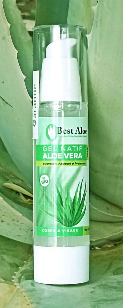 Les Bienfaits Du Gel D Aloe Vera Pour Le Visage Et La Peau Soci T