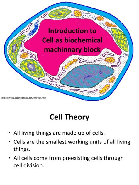 cell structure function  cell biology organisms