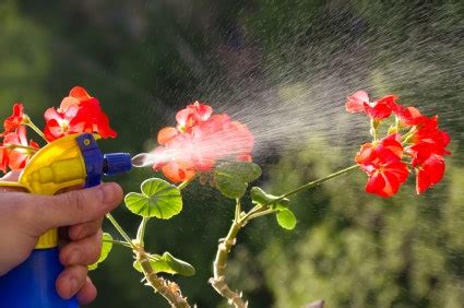 What Are The Pros And Cons Of Garden Pesticides Fox News