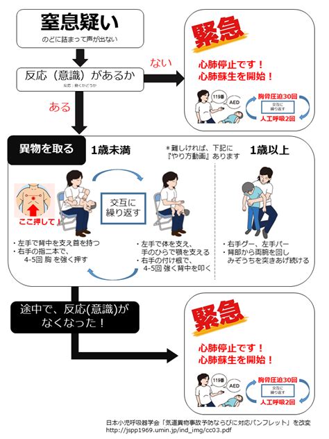 こどもが窒息したときの応急処置 小児総合診療医のひとりごと