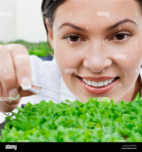 Female Scientist Researching On Plants In A Laboratory Stock Photo Alamy