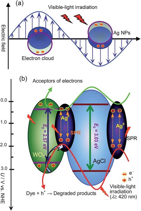 A A Schematic For The Surface Plasmon Resonance Spr Effect Of Ag Download Scientific