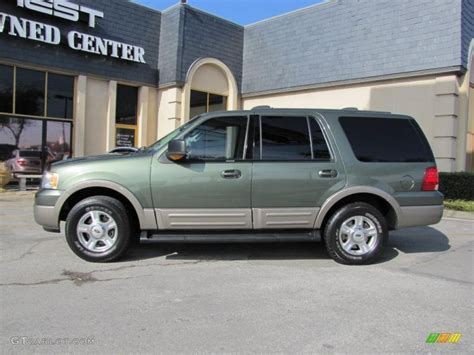 Estate Green Metallic 2003 Ford Expedition Eddie Bauer 4x4 Exterior Photo 41800251