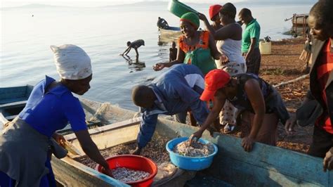 Interviews Un Ocean Conference Frustrates Small Scale Fishers