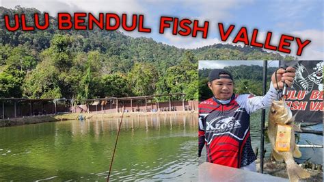 Ulu Bendul Fish Valley Youtube