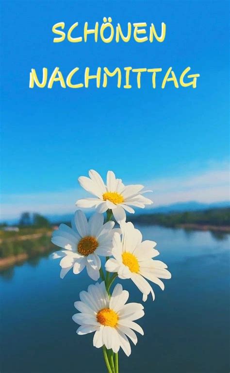 Three White Daisies In Front Of A Blue Sky With The Words Schonen Nachmitag