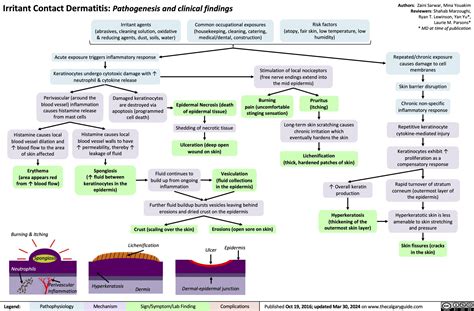 Irritant Contact Dermatitis Pathogenesis And Clinical Findings Calgary Guide