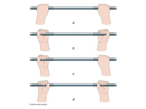 Ppt Resistance Training And Spotting Techniques Powerpoint