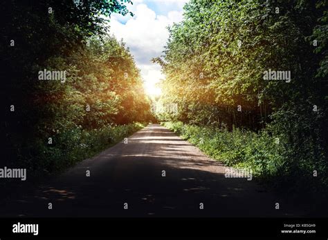 Sunrise beautiful road in forest Stock Photo - Alamy