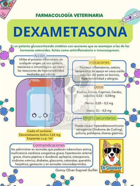 Dexametasona Dr Quinver UDocz