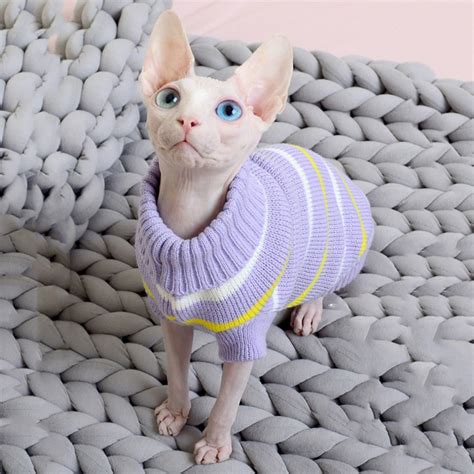 Purple Sphynx Cat Clothes