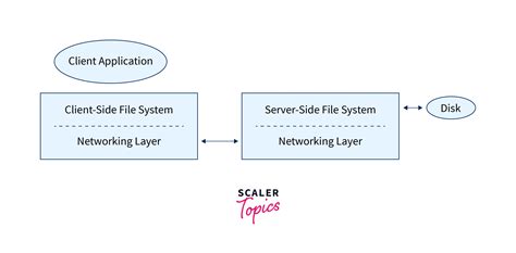 Application Layer Protocols In Computer Network Scaler Topics