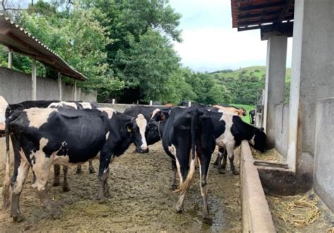 Fazendas à venda na Avenida Nossa Senhora do Bom Sucesso em