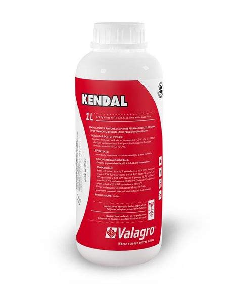 KENDAL 1 Lt Aceti Srl