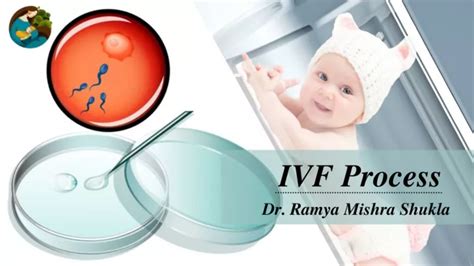 Ppt Ivf Process Lets Discuss About Ivf Process With Dr Ramya Mishra Shukla Powerpoint