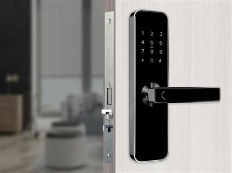 Secure Glass Door Locks For Enhanced Safety Stebilex