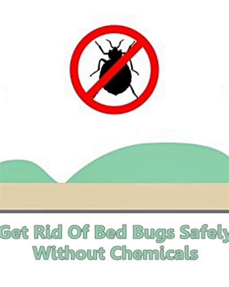 How To Get Rid Of Bed Bugs A Low Cost Diy Extermination Without Toxic