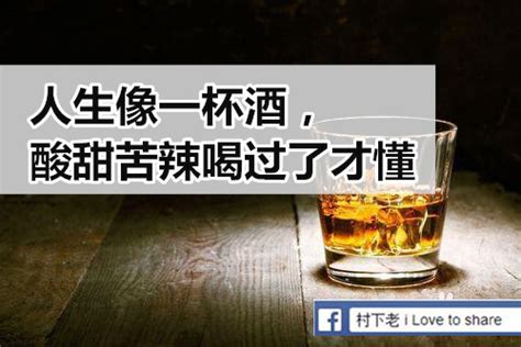 Mother Love把握今生 人生像一杯酒， 酸甜苦辣喝过了才懂