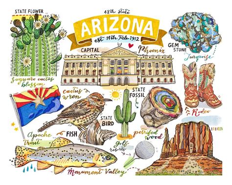 Arizona State Print Illustration State Symbols Etsy Illustration