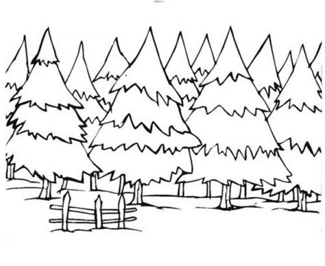 Desenhos De Florestas Bosques E Matas Para Colorir Em Casa