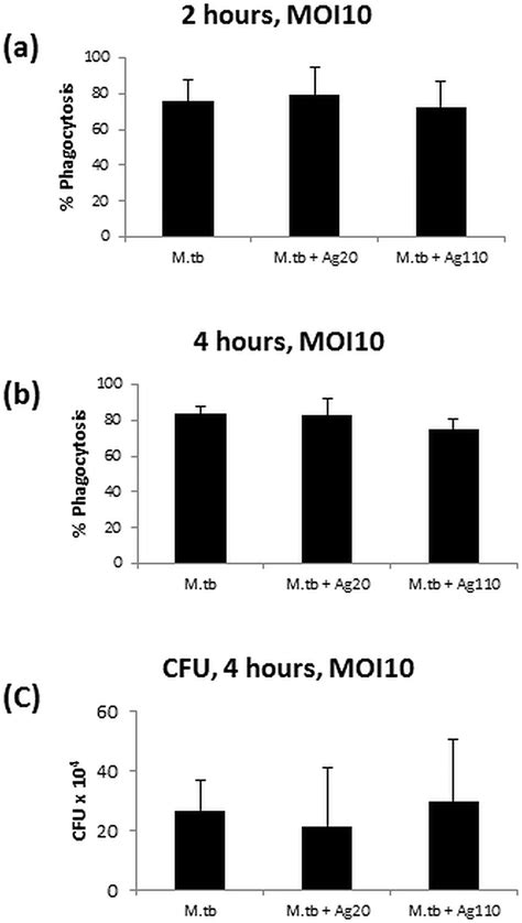 Effect Of AgNP On The Internalization Of M Tb By MDM MDM Were Infected