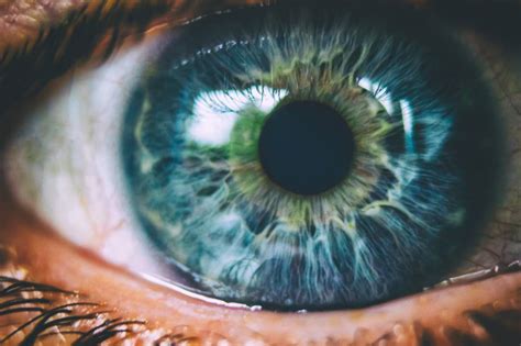 El Intrigante Secreto De Los Ojos De Color Azul No Existen