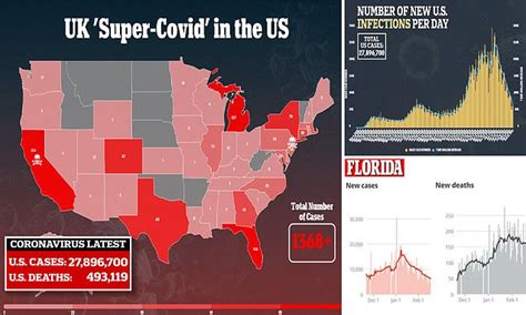 Covid US: Fears as cases of UK 'super variant' QUADRUPLE in Florida ...