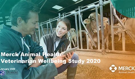 Veterinary Wellbeing Study 2020 Merck Animal Health Usa