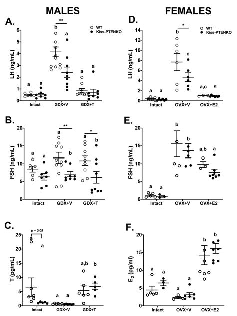 Ijms Free Full Text Targeted Deletion Of Pten In Kisspeptin Cells