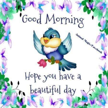 Good Morning Sunshine Quotes Good Morning Smiley Morning Quotes For