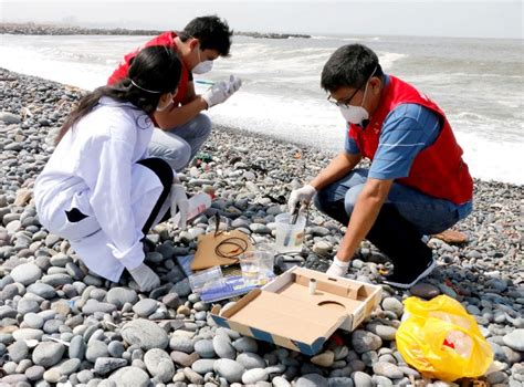 Retiran 10 Toneladas De Desperdicios Y Basura De La Playa Carpayo