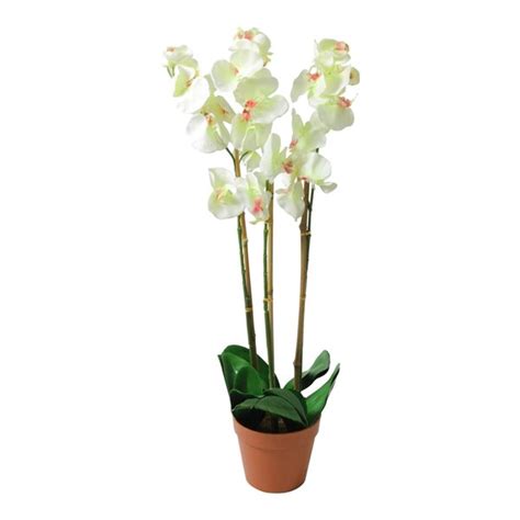 Northlight In White And Brown Potted Artificial Phalaenopsis