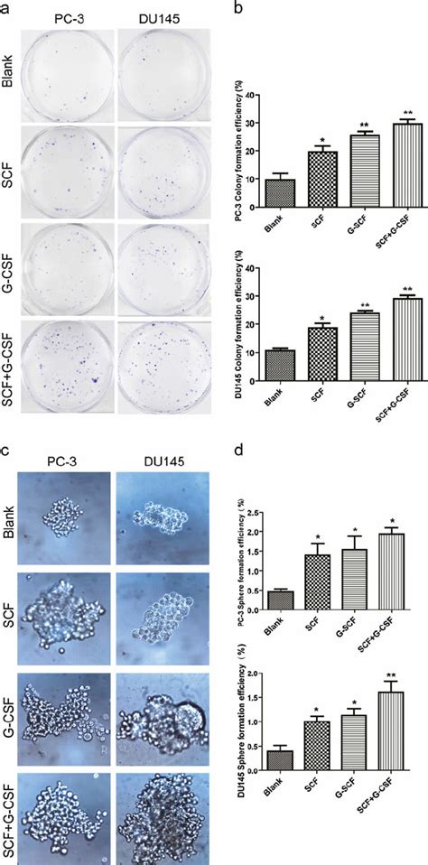 Colony Formation And Sphere Formation Analyses A Representative