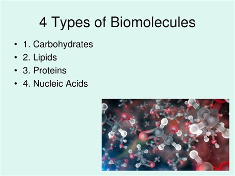 Ppt Bio Molecules Powerpoint Presentation Free Download Id6119401