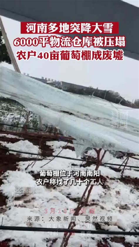 河南多地突降大雪：郑州大雪压塌6000平方米物流仓库 ，南阳农户葡萄棚成“废墟”河南省郑州市南阳市新浪新闻