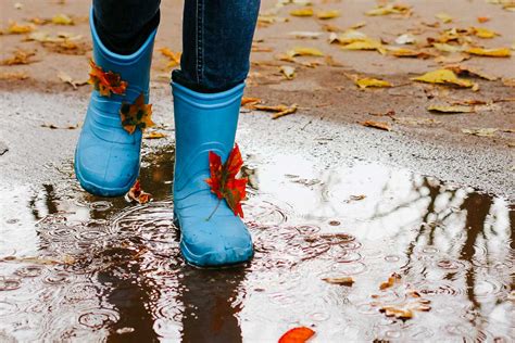 Der Herbst Wird Herbstlicher Wiesbaden Lebt