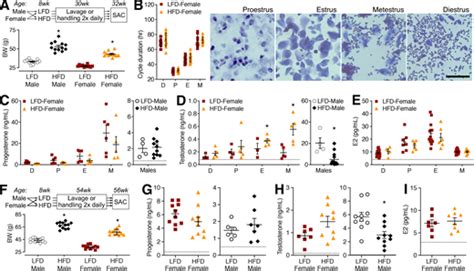 Sex Differences In Adipose Tissue Distribution Determine Susceptibility