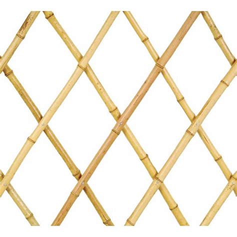 Bamboo extensible trellis with large canes - Sherries Estates