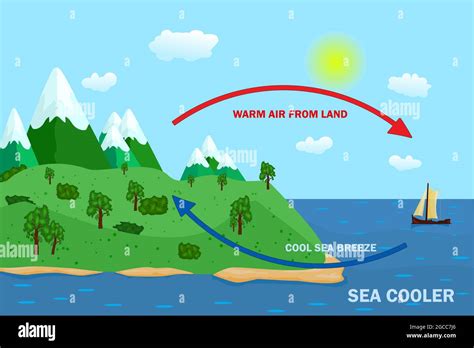 Diseño De Carteles Científicos Para La Brisa Marina Y Terrestre