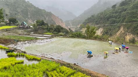 Makilala Mining Natural Capital For New Capitalism