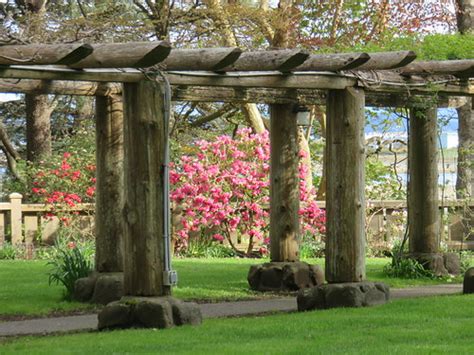 Filberg Park In The Comox Valley Margo Ayotte Flickr