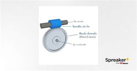 Mecanismo Tornillo Sin Fin Corona