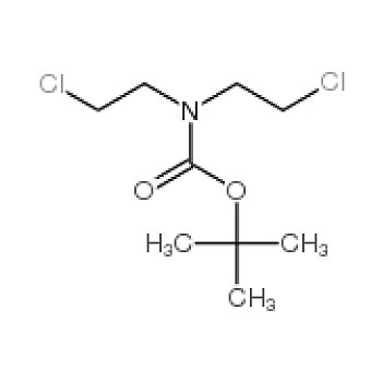 ACMEC N N 双 2 氯乙基 氨基甲酸叔丁酯 T24020 1g 实验室用品商城