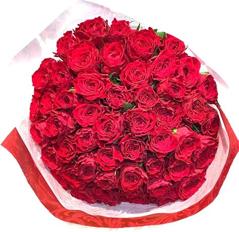 Amazon｜バラ 花束 50本 赤 生花 東京銀座クオリティ 土日も出荷可能 赤いバラ 薔薇 ばら お祝い 御祝 誕生日 記念日 ギフト ...