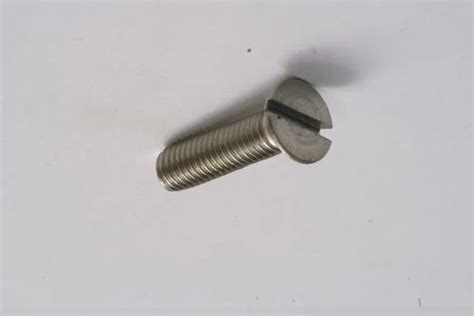 Stainless Steel Slotted Head Screw, Size: Standard at best price in Rajkot