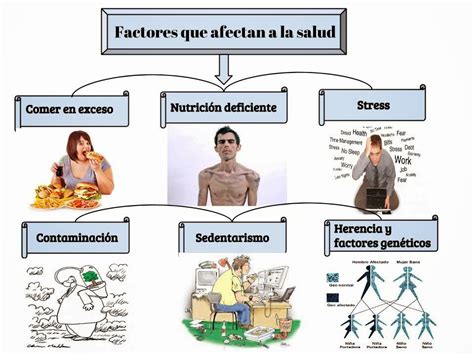 Factores Que Afectan La Salud Mapa Mental Porn Sex Picture